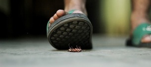 Hoe herken je een kakkerlak: 5 tekenen dat je partner je aan het roachen is